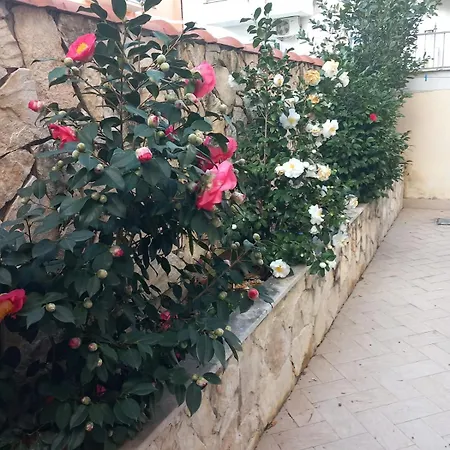 Domus Albanella Lägenhet Rom