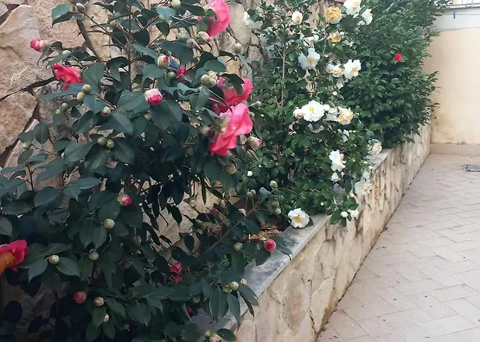 Domus Albanella Διαμέρισμα Ρώμη